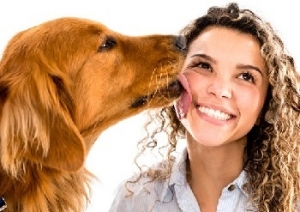 Dierenverzekering vergelijken